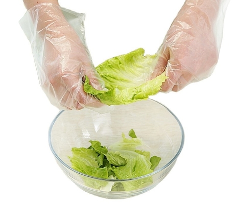 Guanti monouso per la ristorazione domestica in plastica PE trasparente per la pulizia invernale