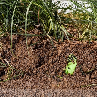 Sacchetti per la spesa in amido di mais biodegradabile compostabile per imballaggi alimentari