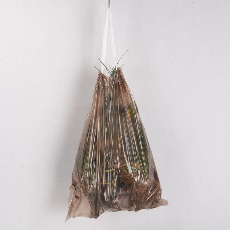 Sacchetto per rifiuti di plastica perforato per contenitori di rifiuti da cucina 2022 Verde o su richiesta